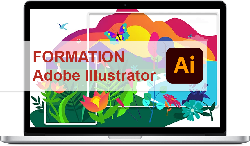 Formation Adobe Illustrator