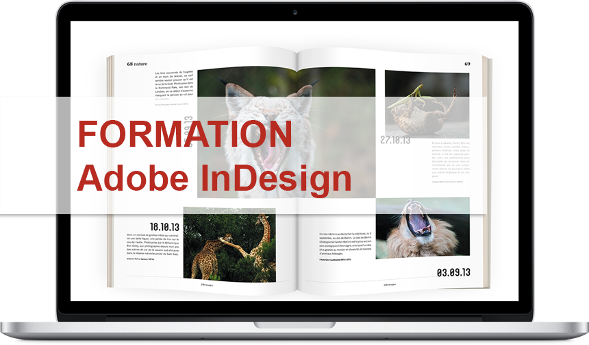 Formation Adobe InDesign